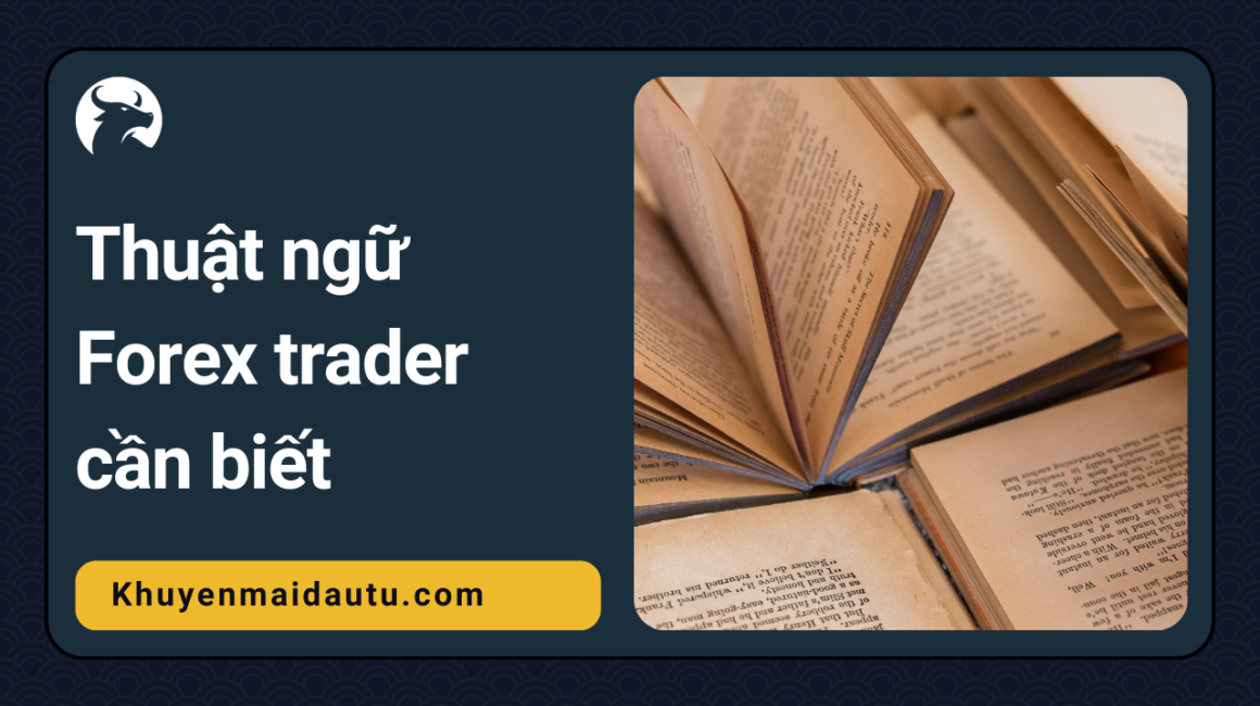 Các thuật ngữ forex quan trọng trader cần biết