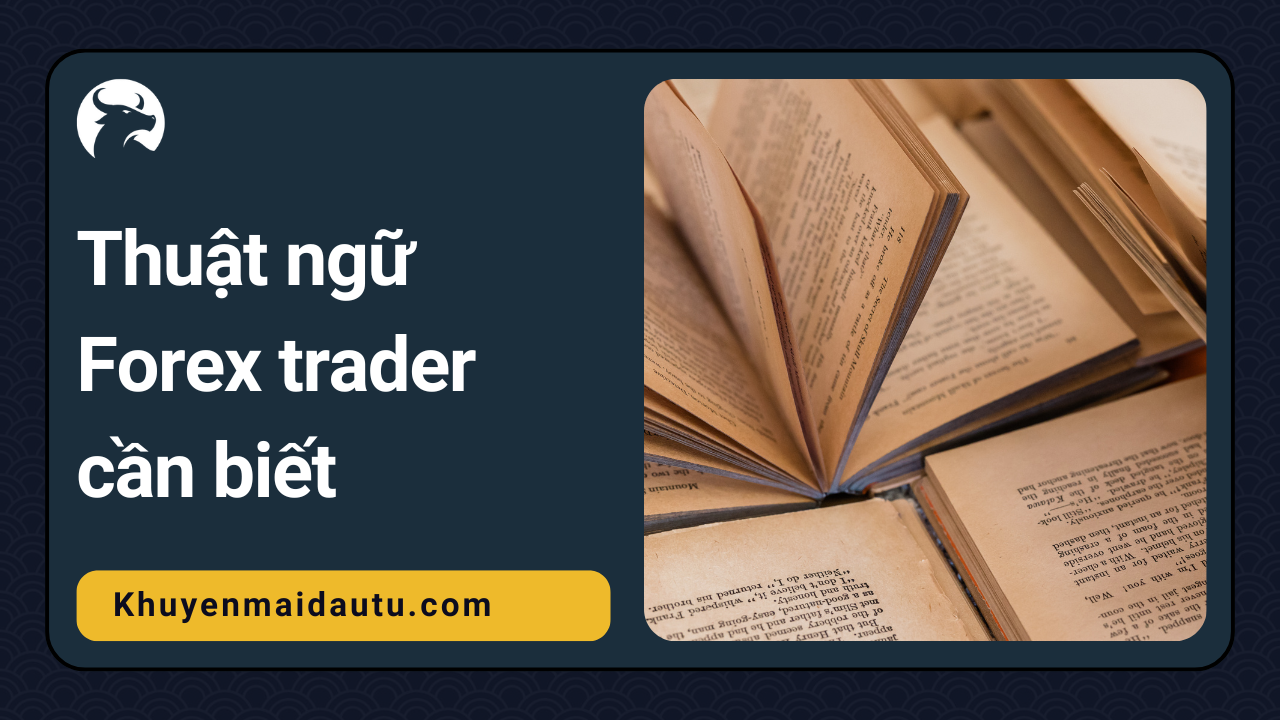 Các thuật ngữ forex quan trọng trader cần biết